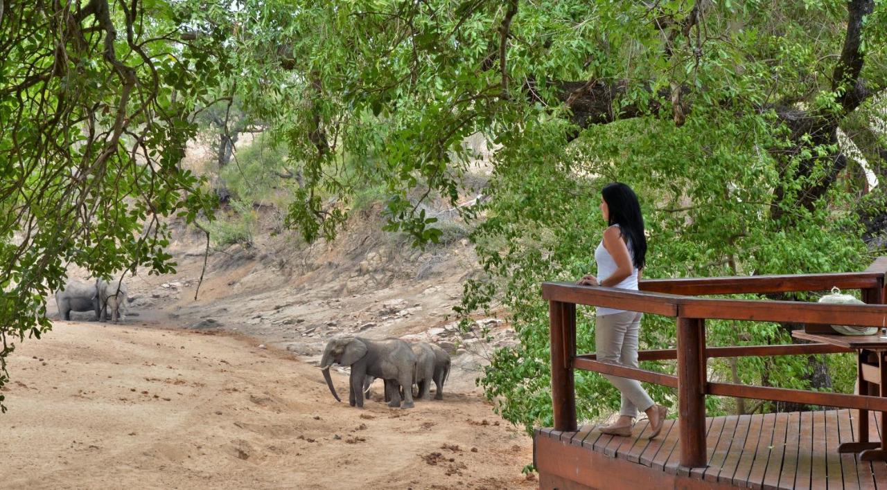 Hamiltons Tented Camp Mluwati Concession Exterior photo