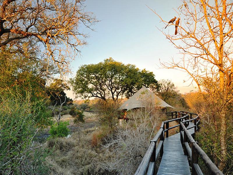 Hamiltons Tented Camp Mluwati Concession Exterior photo